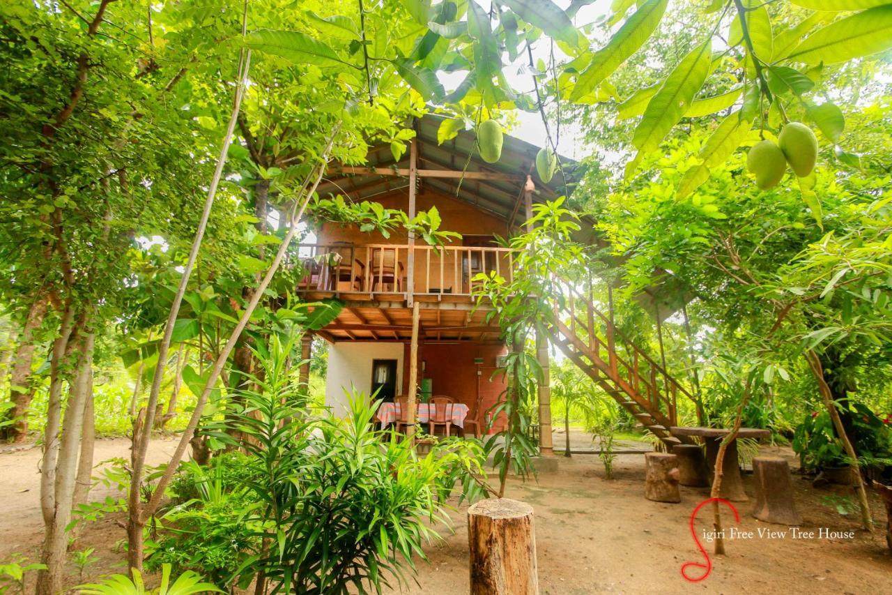 Sigiriya Free View Tree House & Villa Eksteriør bilde