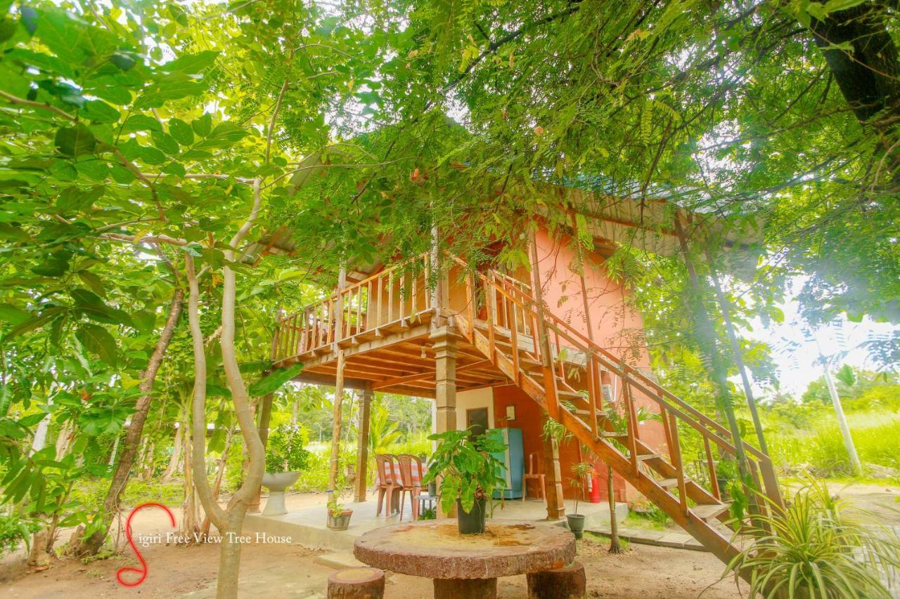 Sigiriya Free View Tree House & Villa Eksteriør bilde