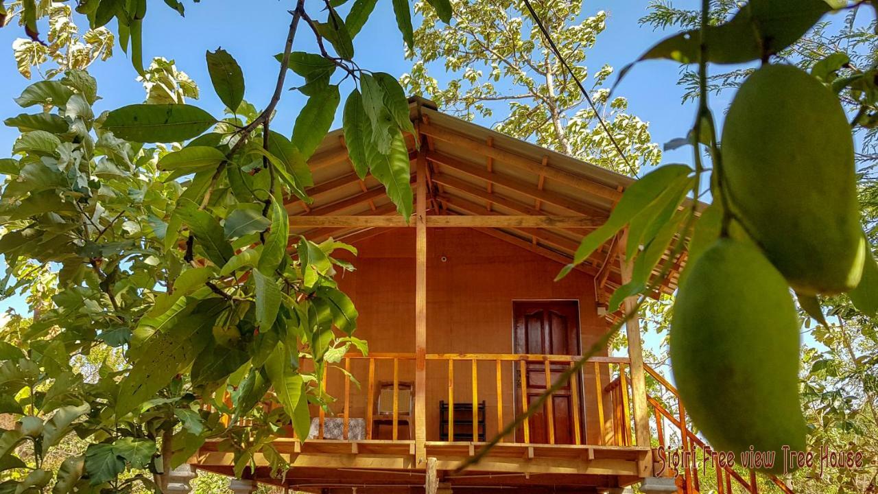 Sigiriya Free View Tree House & Villa Eksteriør bilde