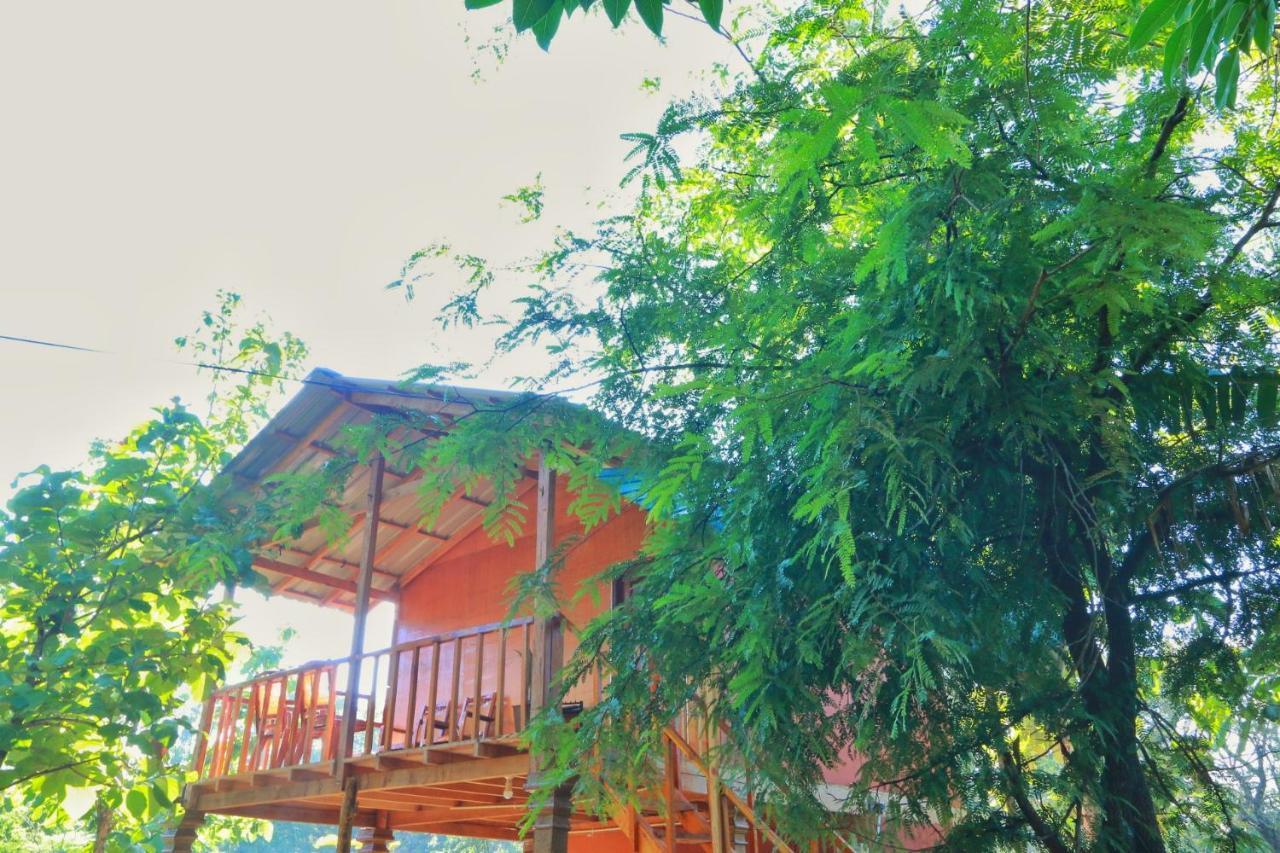 Sigiriya Free View Tree House & Villa Eksteriør bilde