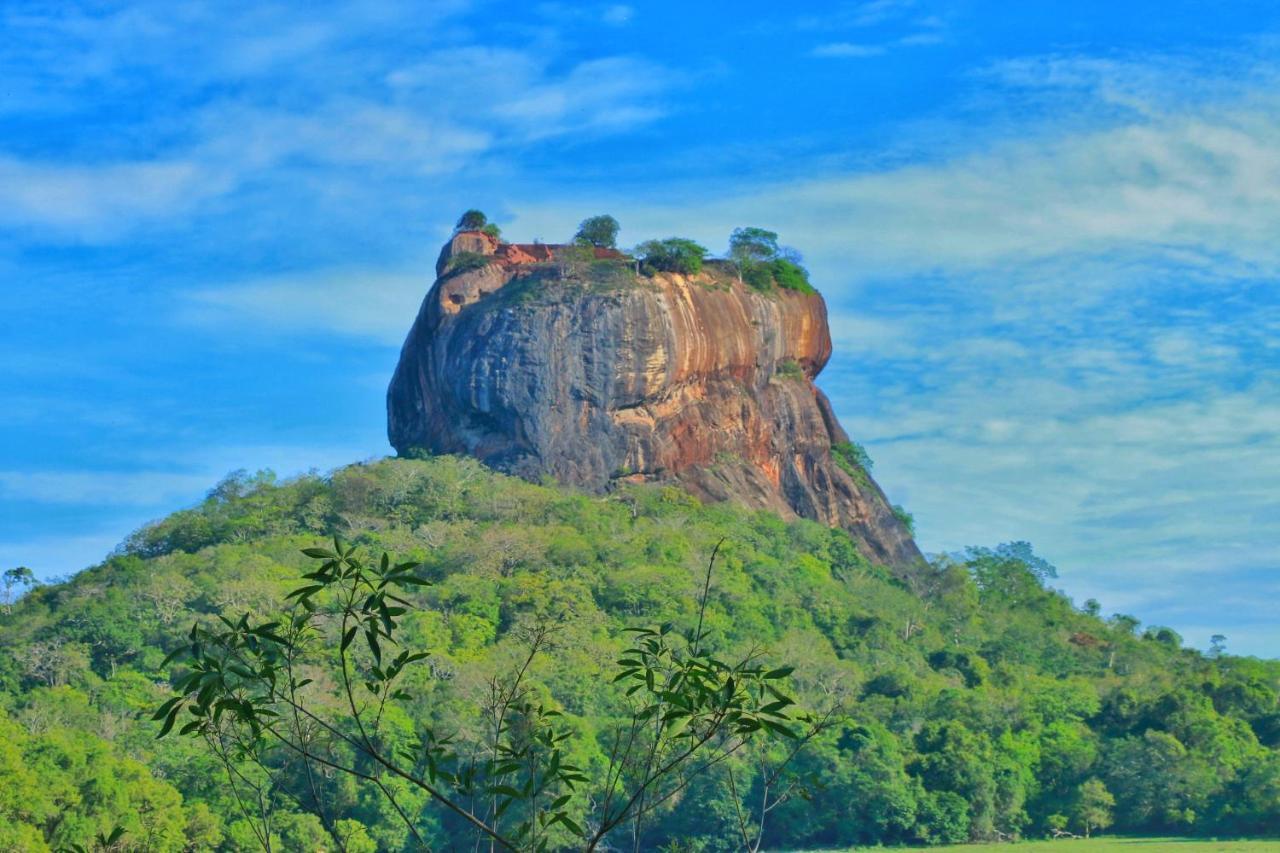 Sigiriya Free View Tree House & Villa Eksteriør bilde